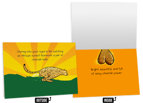 NSFW Love & Friendship Cards Vol. A - 8 pack